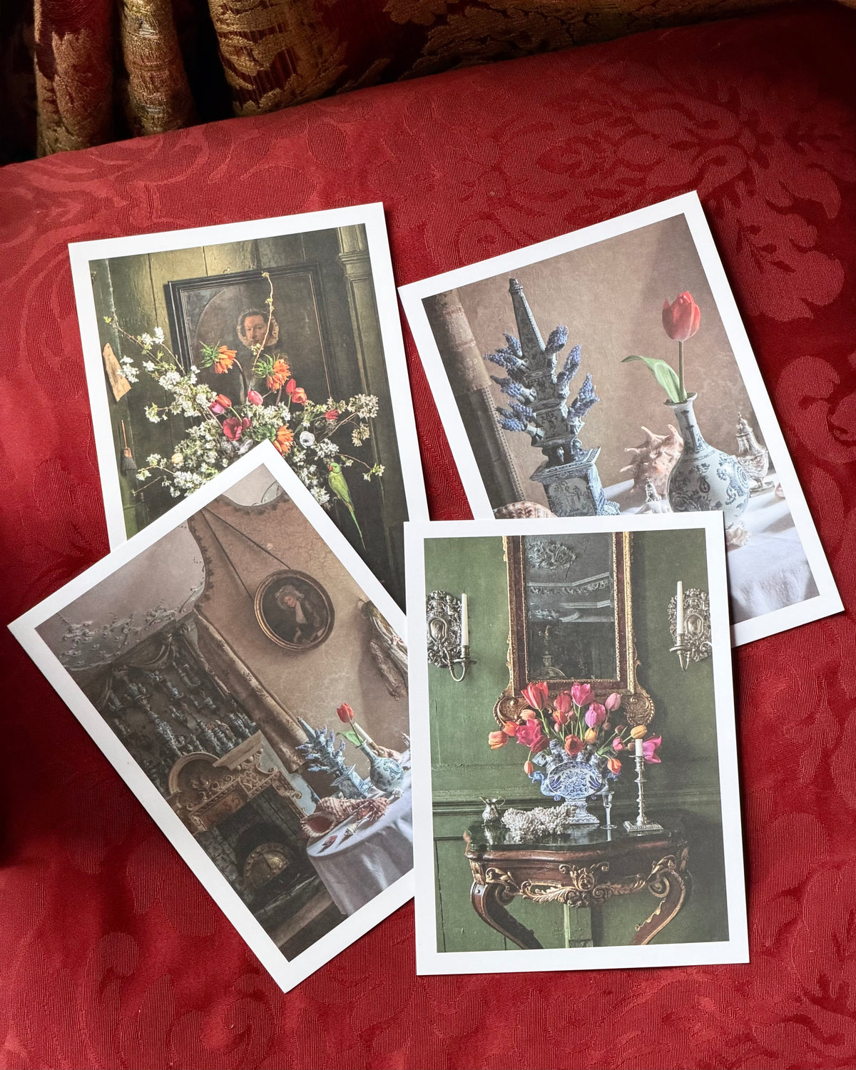 Stilled Lifes postcard set