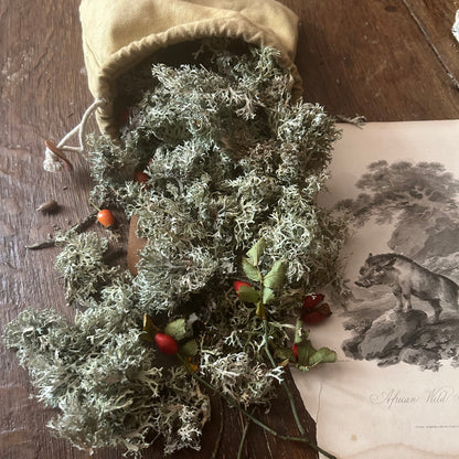 Mrs Jervis’ Pot Pourri